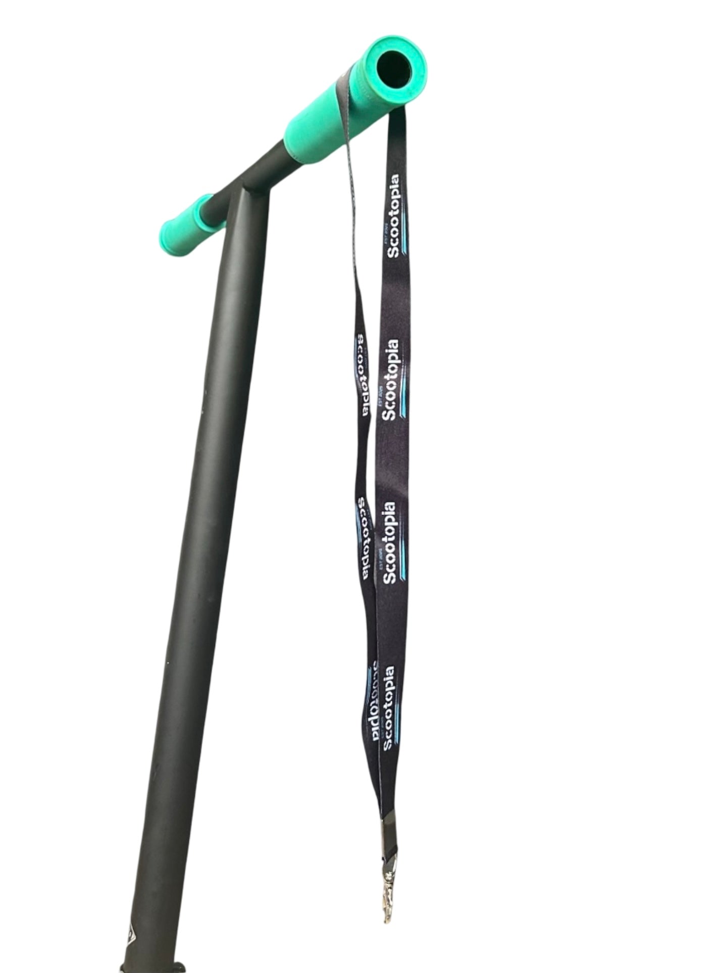 Team Lanyard